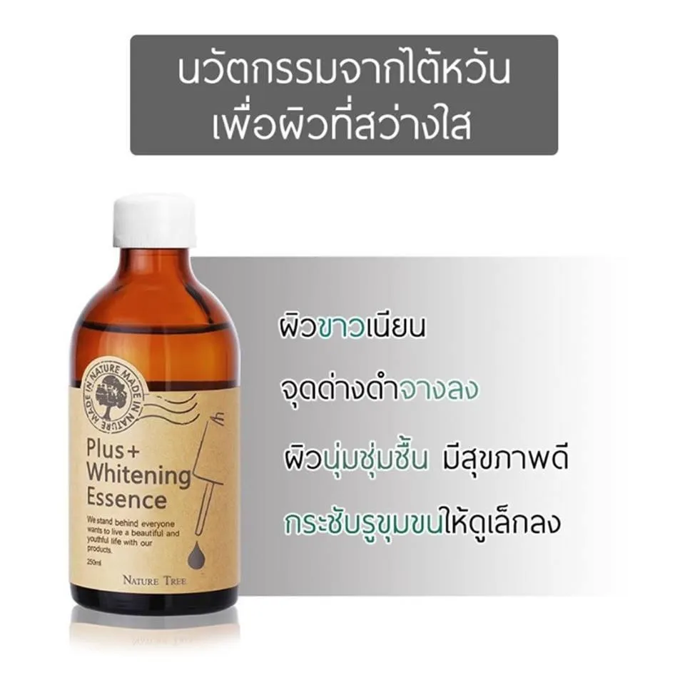 25347 nature tree essence taiwan product