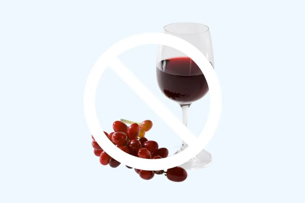 25388 carbamide peroxide gel