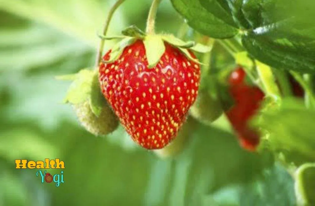 25397 strawberry juice skin whitening