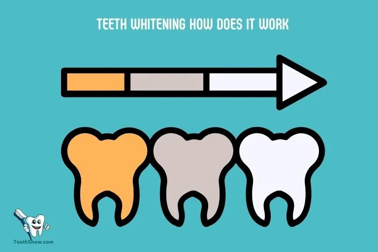 25401 dentist expertise