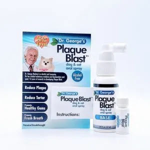 25446 dental sensitivity