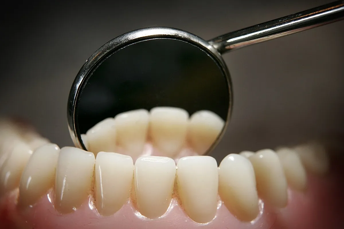 25557 tooth enamel