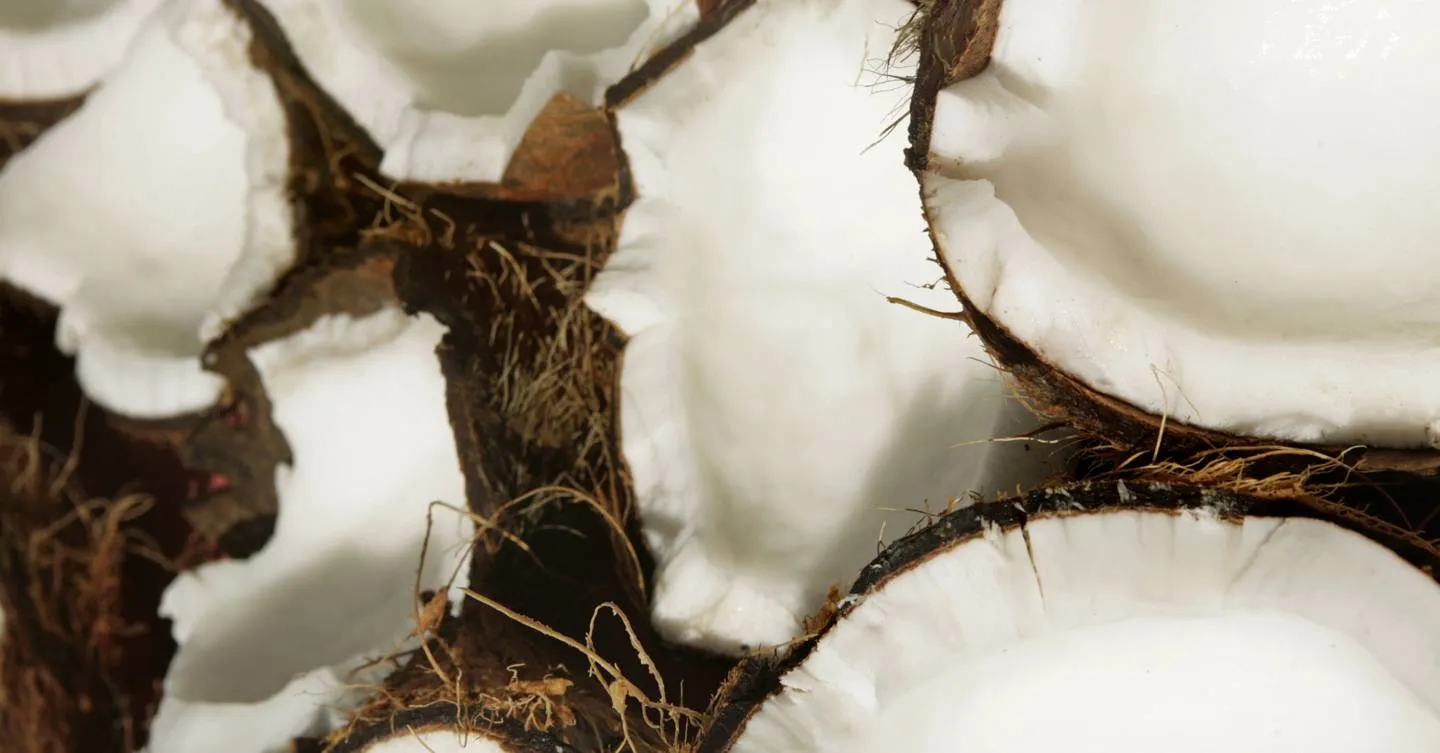 25577 coconut oil teeth whitening 2